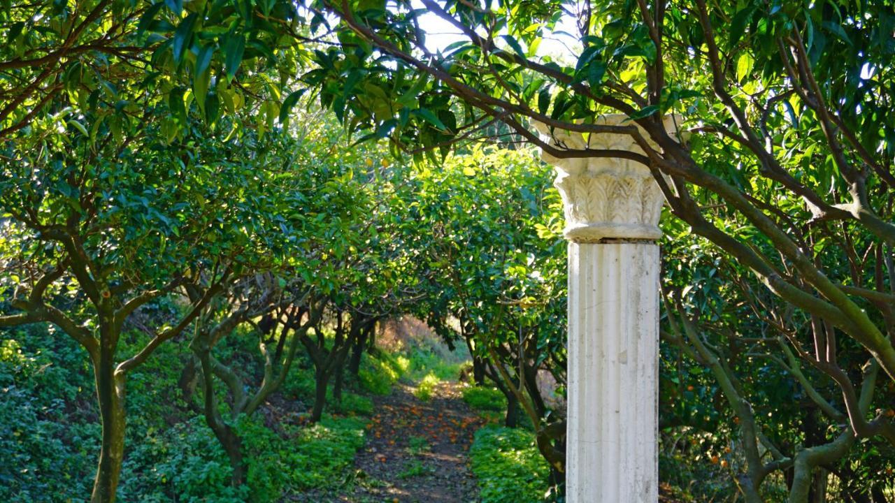 Tenuta Convivium Pozzuoli Dış mekan fotoğraf