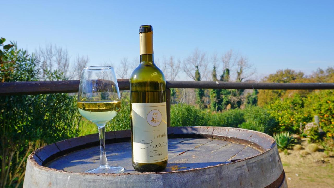 Tenuta Convivium Pozzuoli Dış mekan fotoğraf